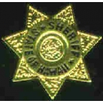 HAWAII STATE SHERIFF DEPARTMENT PIN MINI BADGE PIN